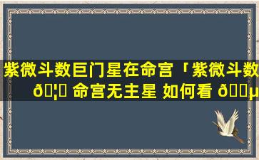 紫微斗数巨门星在命宫「紫微斗数 🦉 命宫无主星 如何看 🐵 格局」